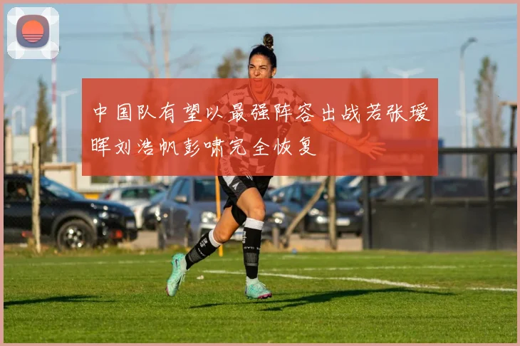 中国队有望以最强阵容出战若张瑷晖刘浩帆彭啸完全恢复